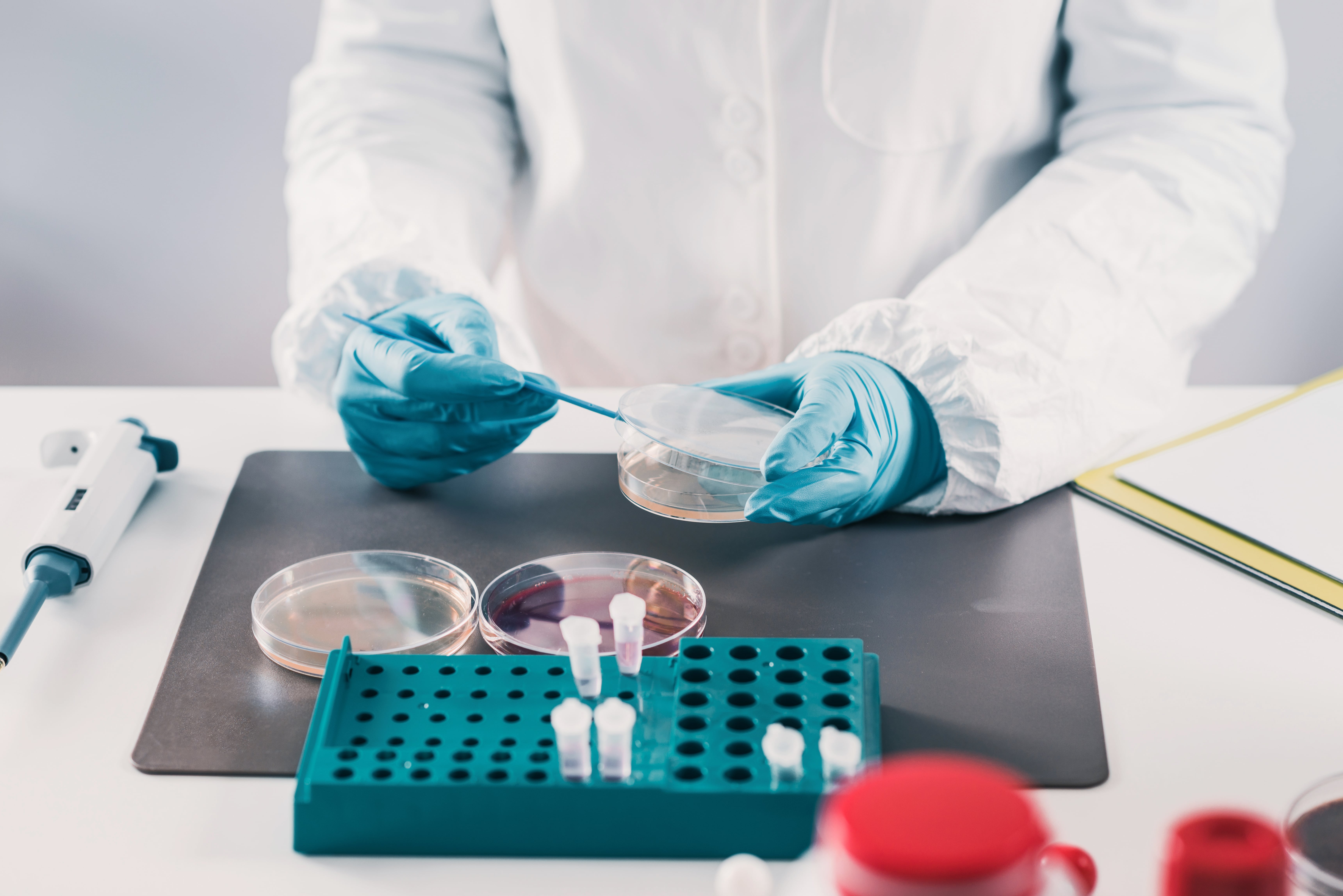 Person wearing a lab coat and blue gloves handling a Petri dish with a tool, next to test tubes and a pipette on the table.