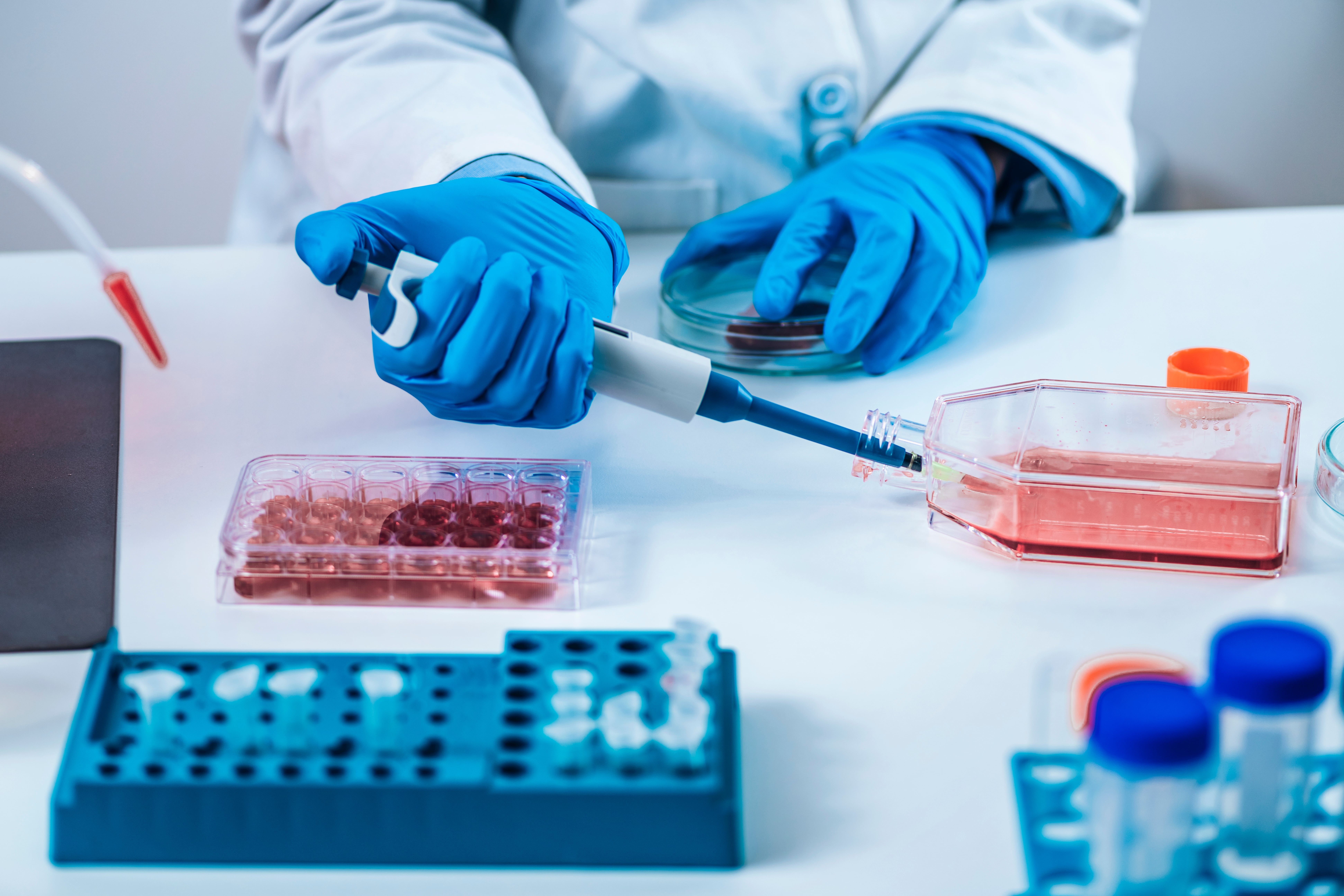 Person wearing a lab coat and blue gloves using a micropipette to transfer liquid into a container, with plates and test tubes on a workbench.