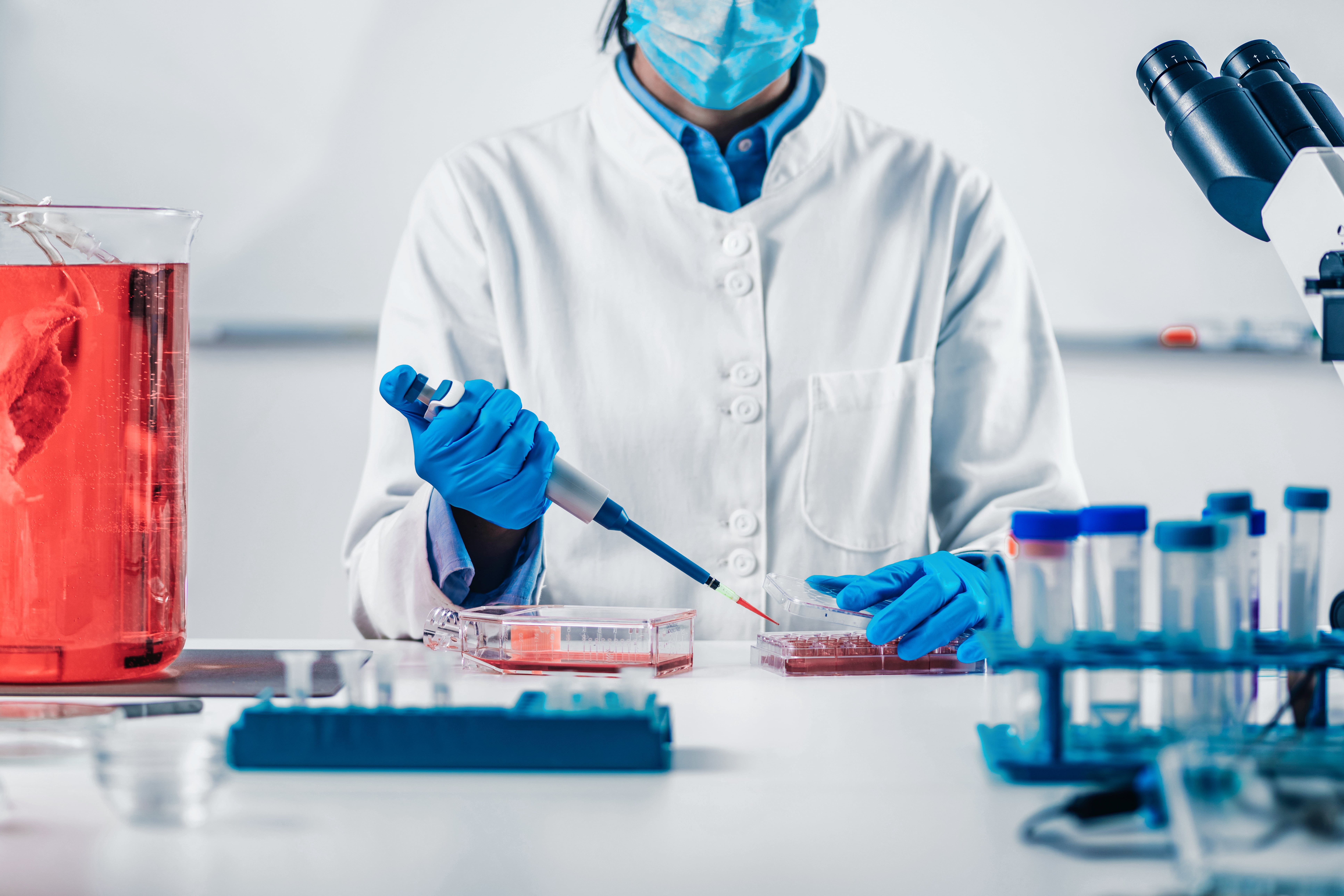 Person wearing a lab coat and blue gloves using a micropipette to transfer liquid into a culture plate, with test tubes and a microscope on the table.