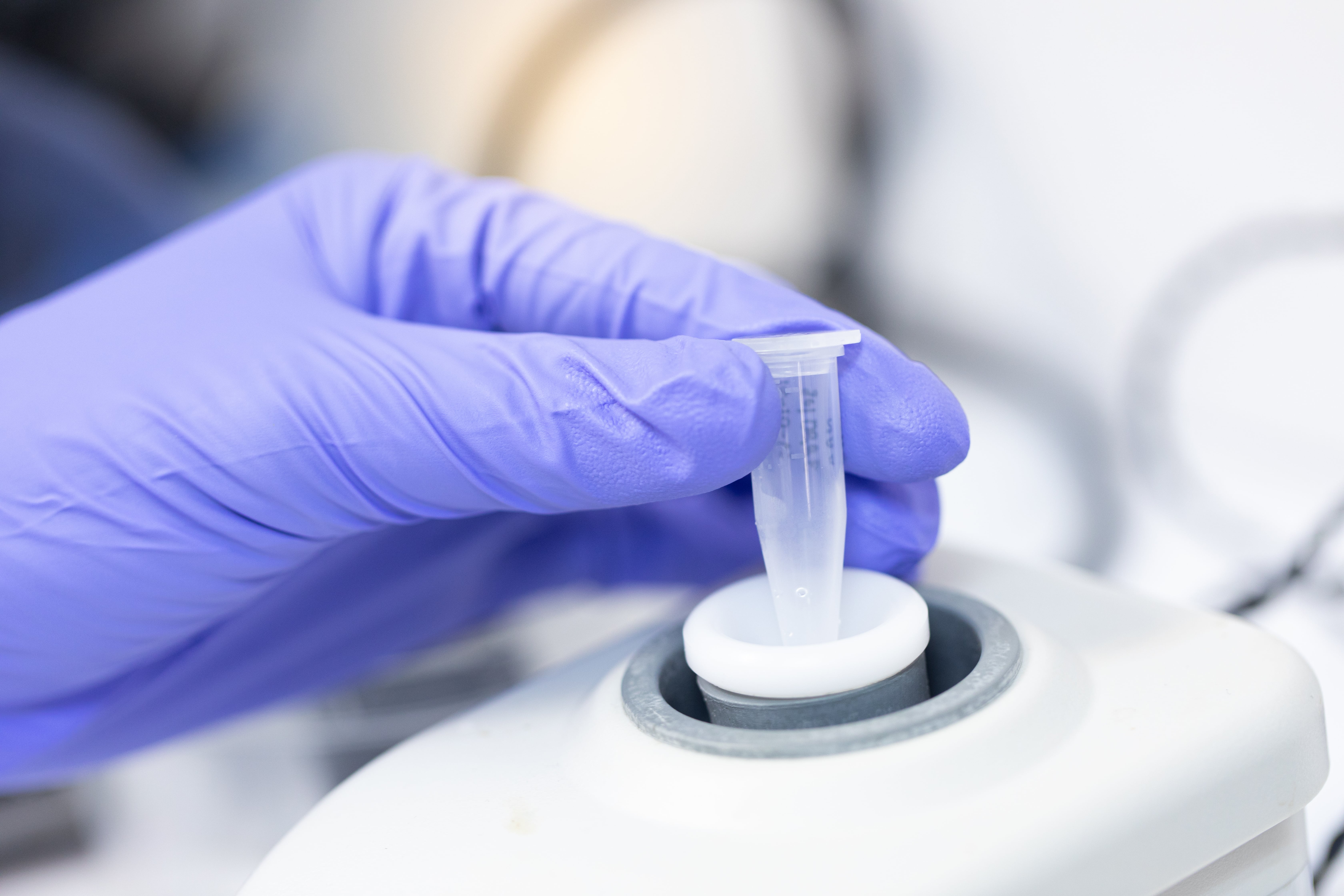 Hand wearing a purple glove placing a test tube into a laboratory centrifuge for sample processing.