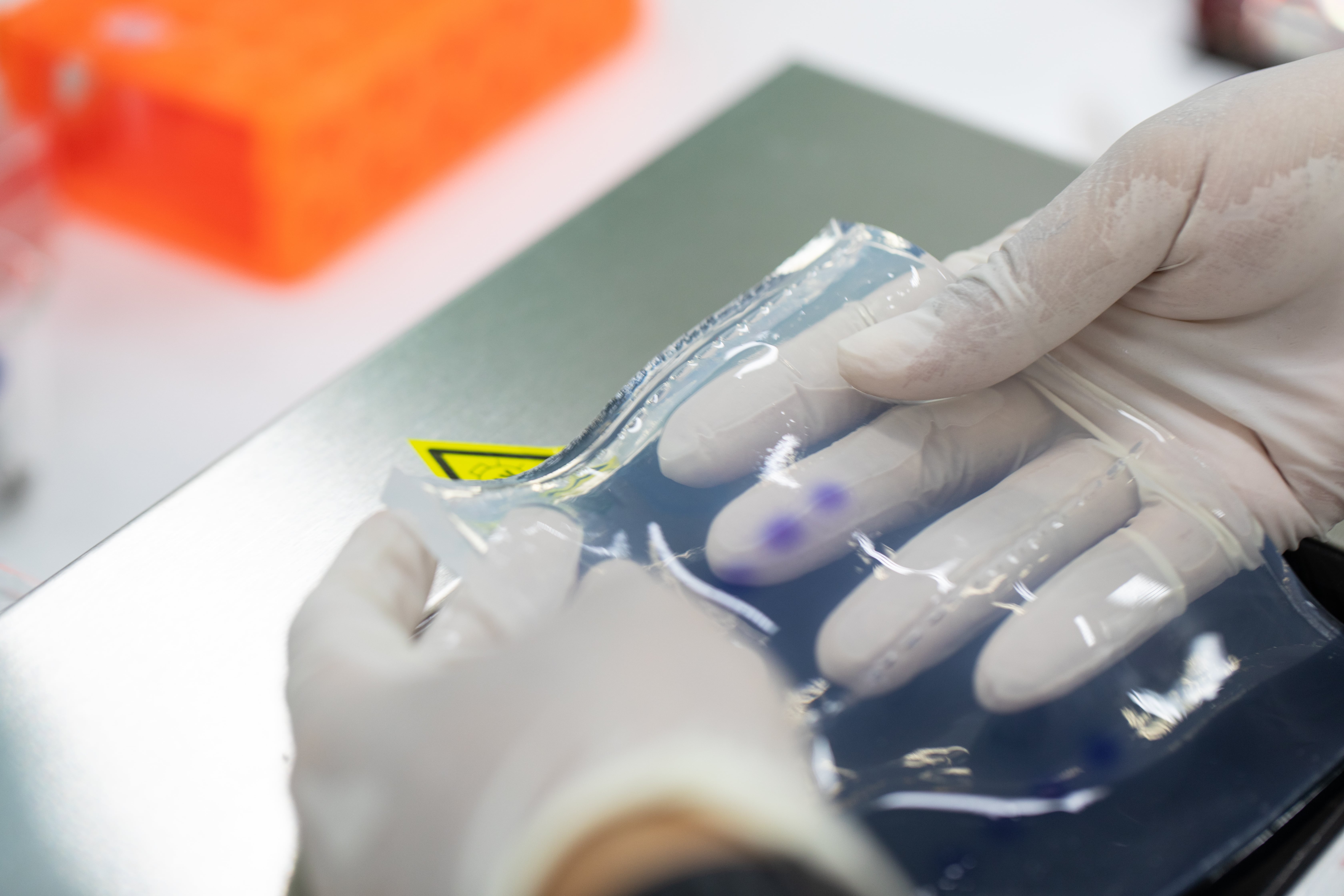dna fragment