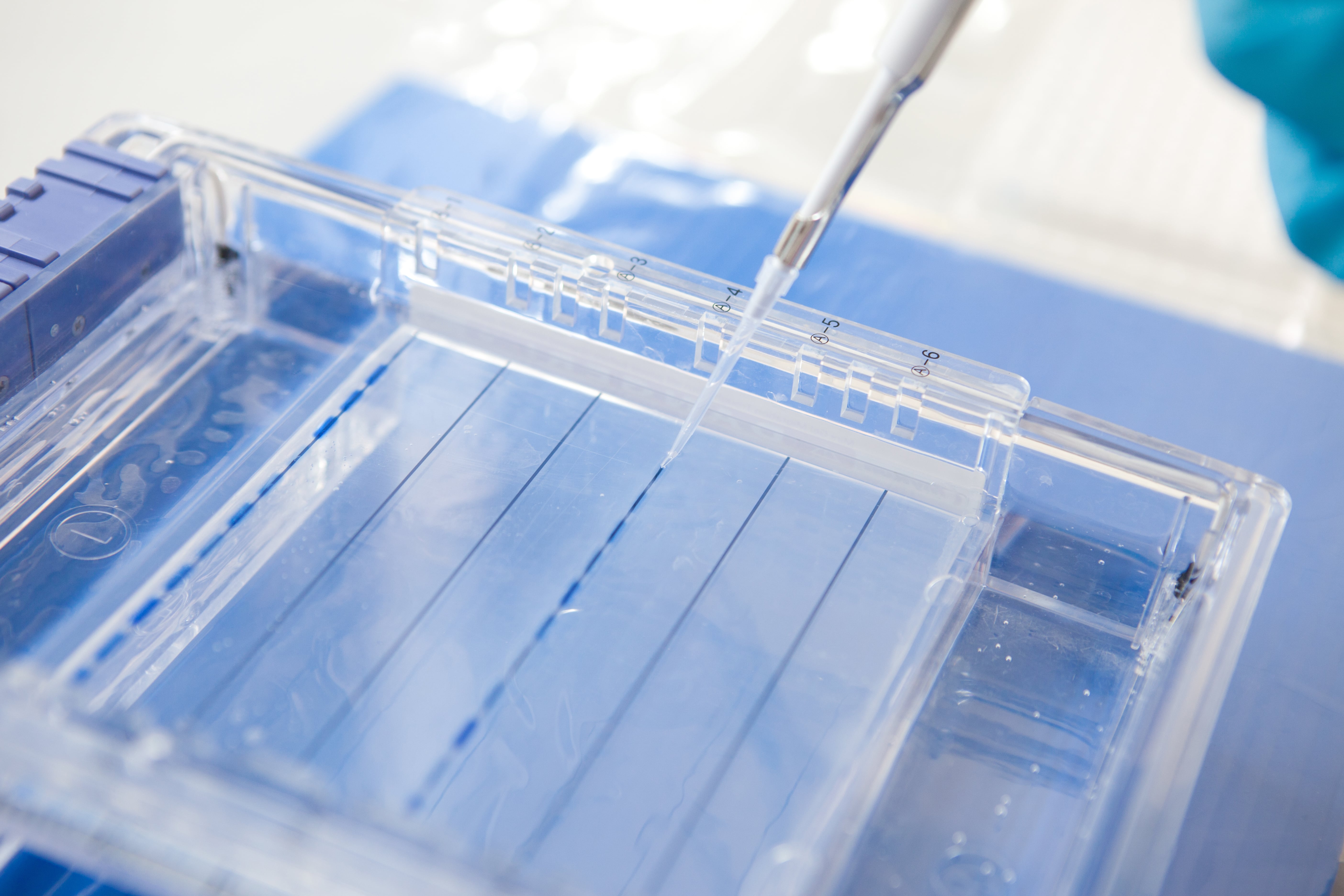 Hand wearing a blue glove using a micropipette to load a transparent electrophoresis gel in a laboratory device.