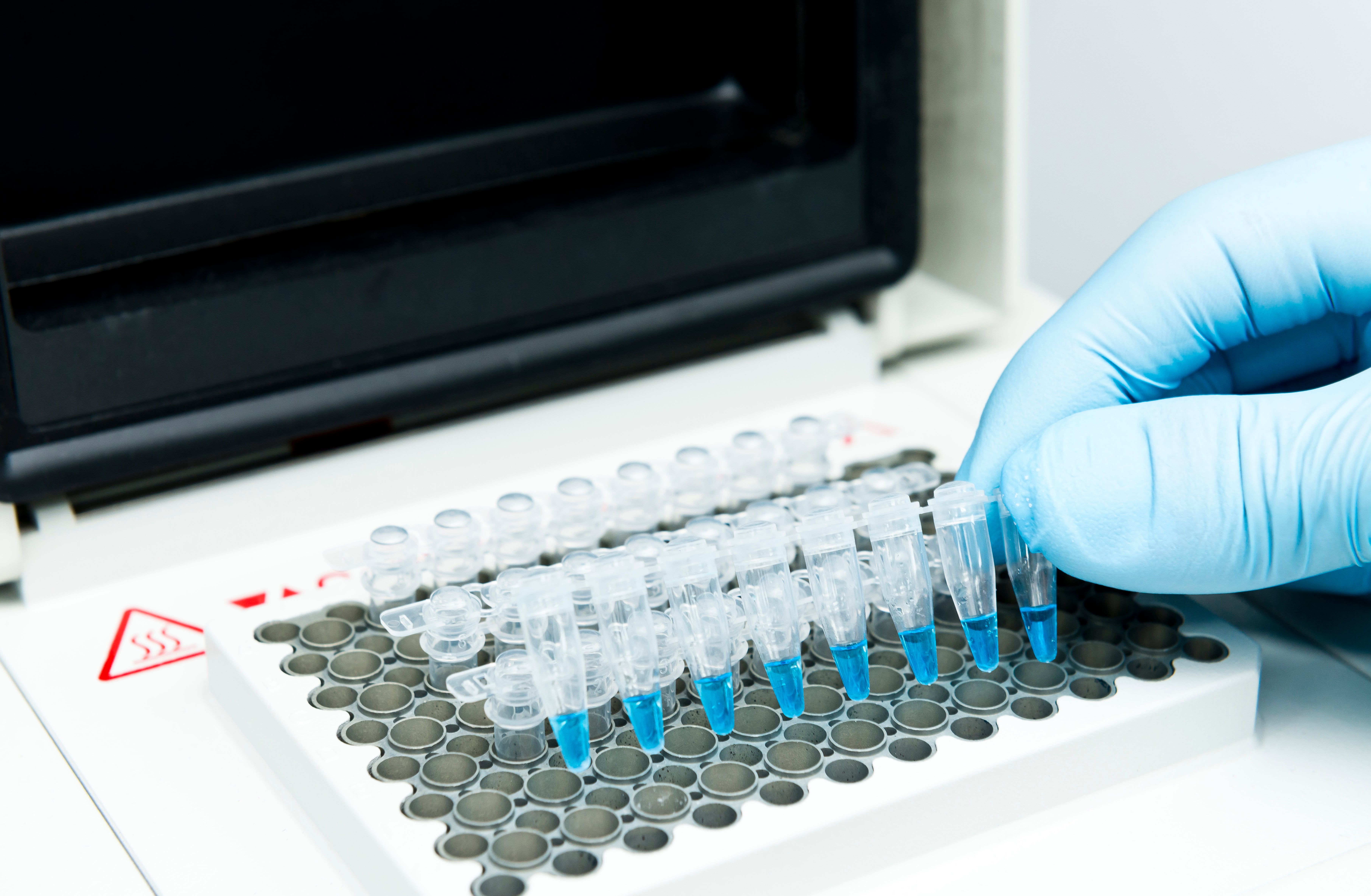 A gloved hand placing small test tubes filled with blue liquid into a laboratory thermal cycler or PCR machine.