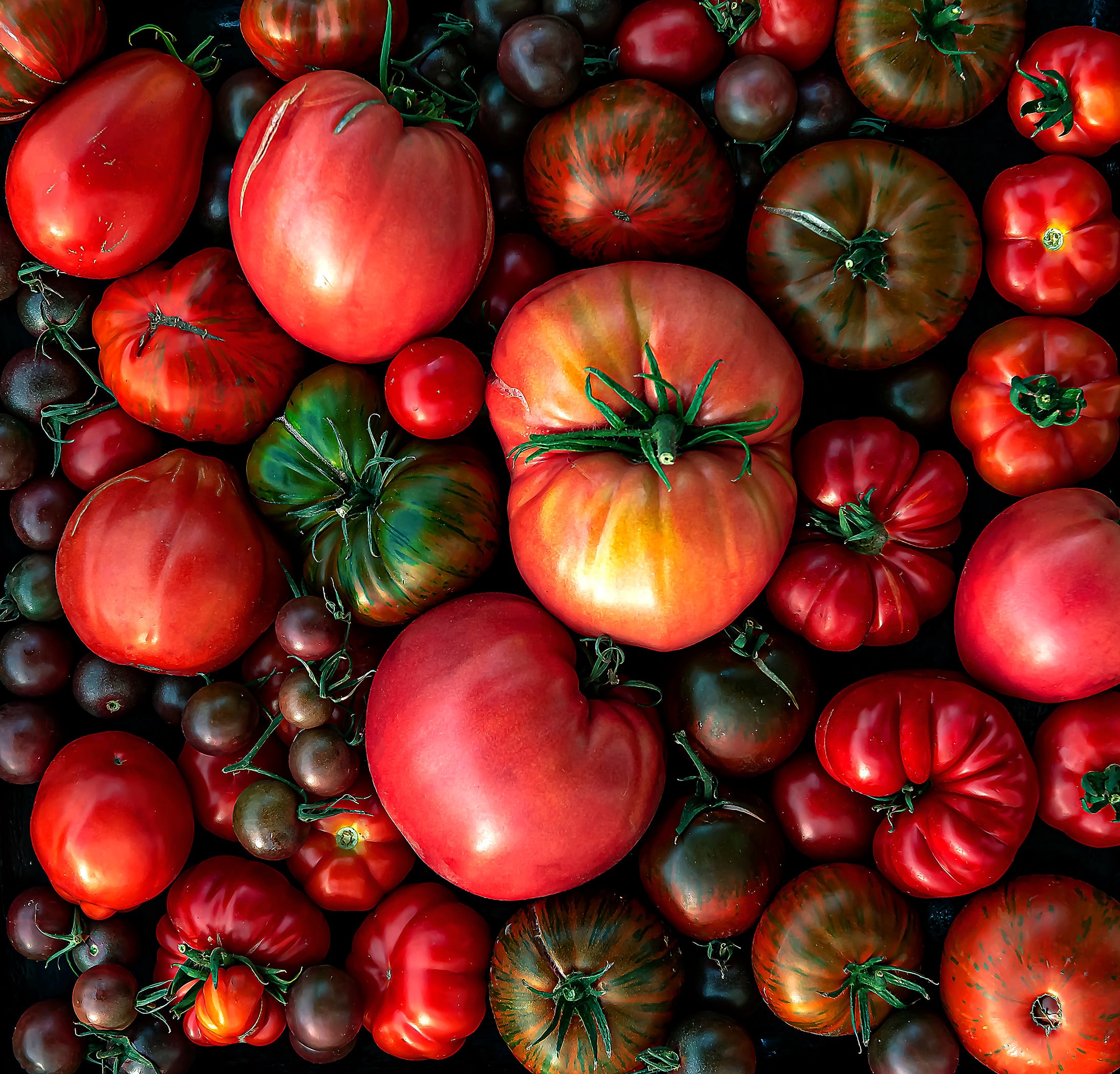 A colorful assortment of heirloom tomatoes in various shapes, sizes, and colors, including red, green, and purple varieties, arranged closely together on a dark background.