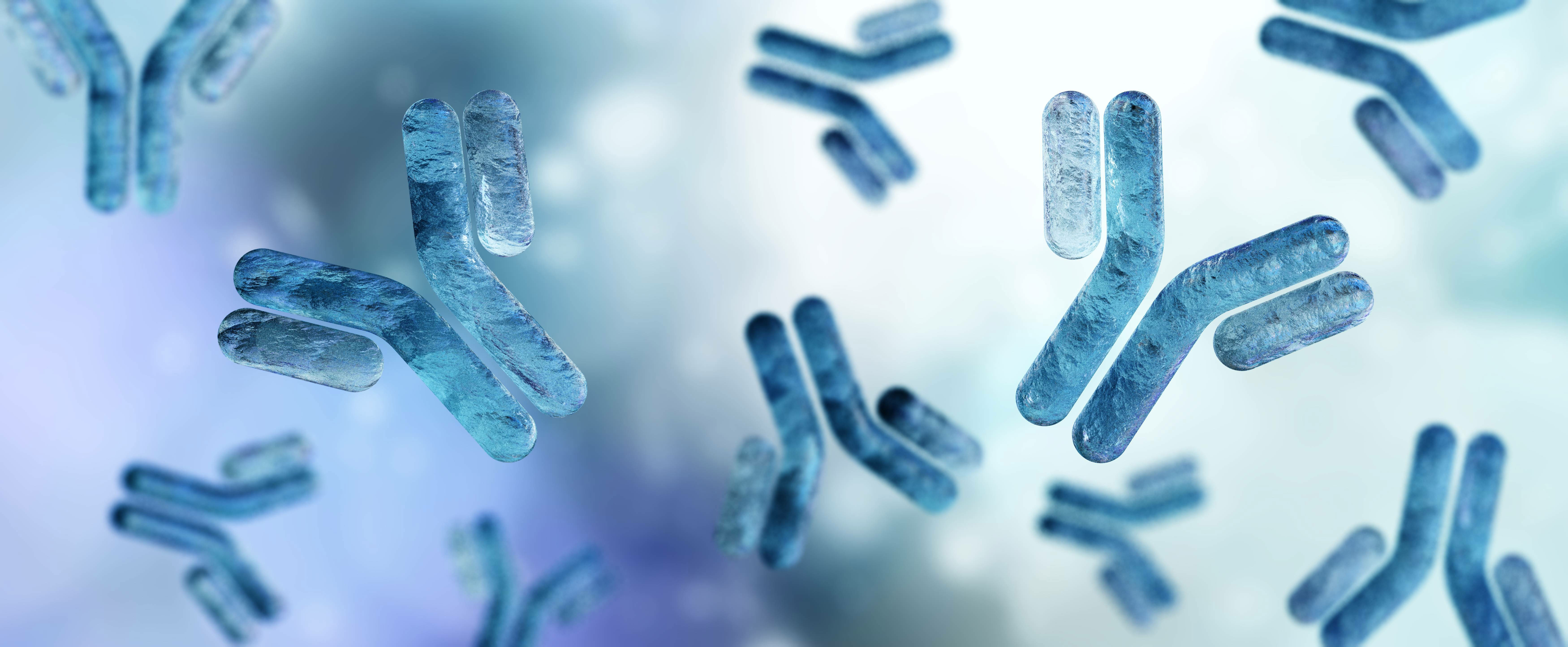Antibodies, blood plasma globular proteins, background antibodies, banner, immunoglobulin, 3d rendering
