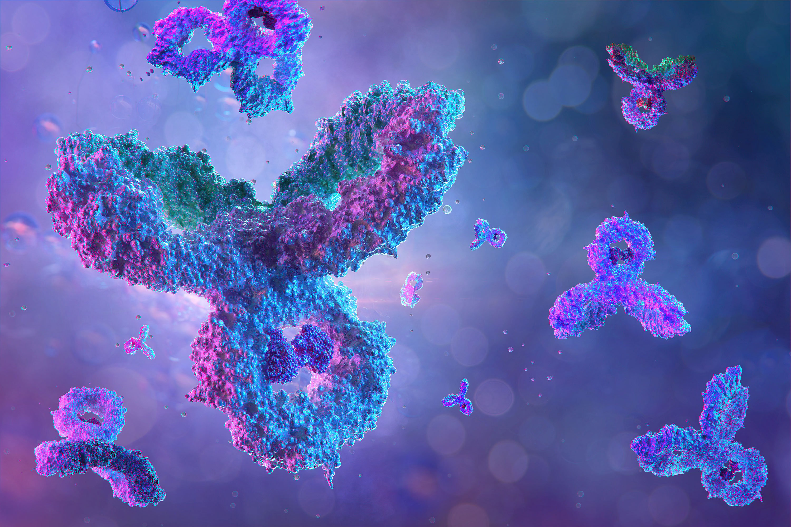 Antibodies, immunoglobulin Ig proteins 3D medical 