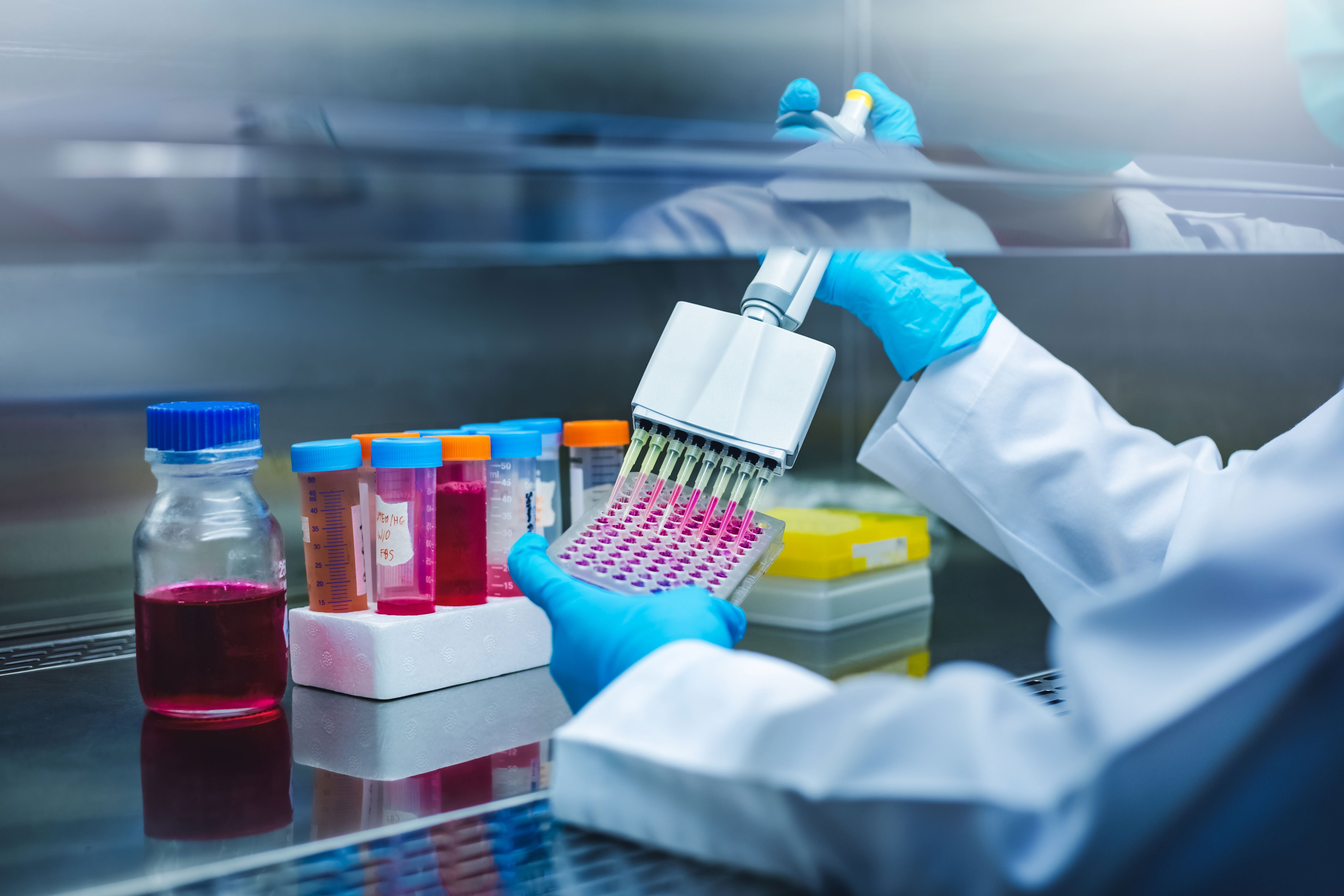 Scientists use multi pipette with sample preparation in the laboratory fume hood for bioassay of in vitro cells on microplate, 96 well in the laboratory