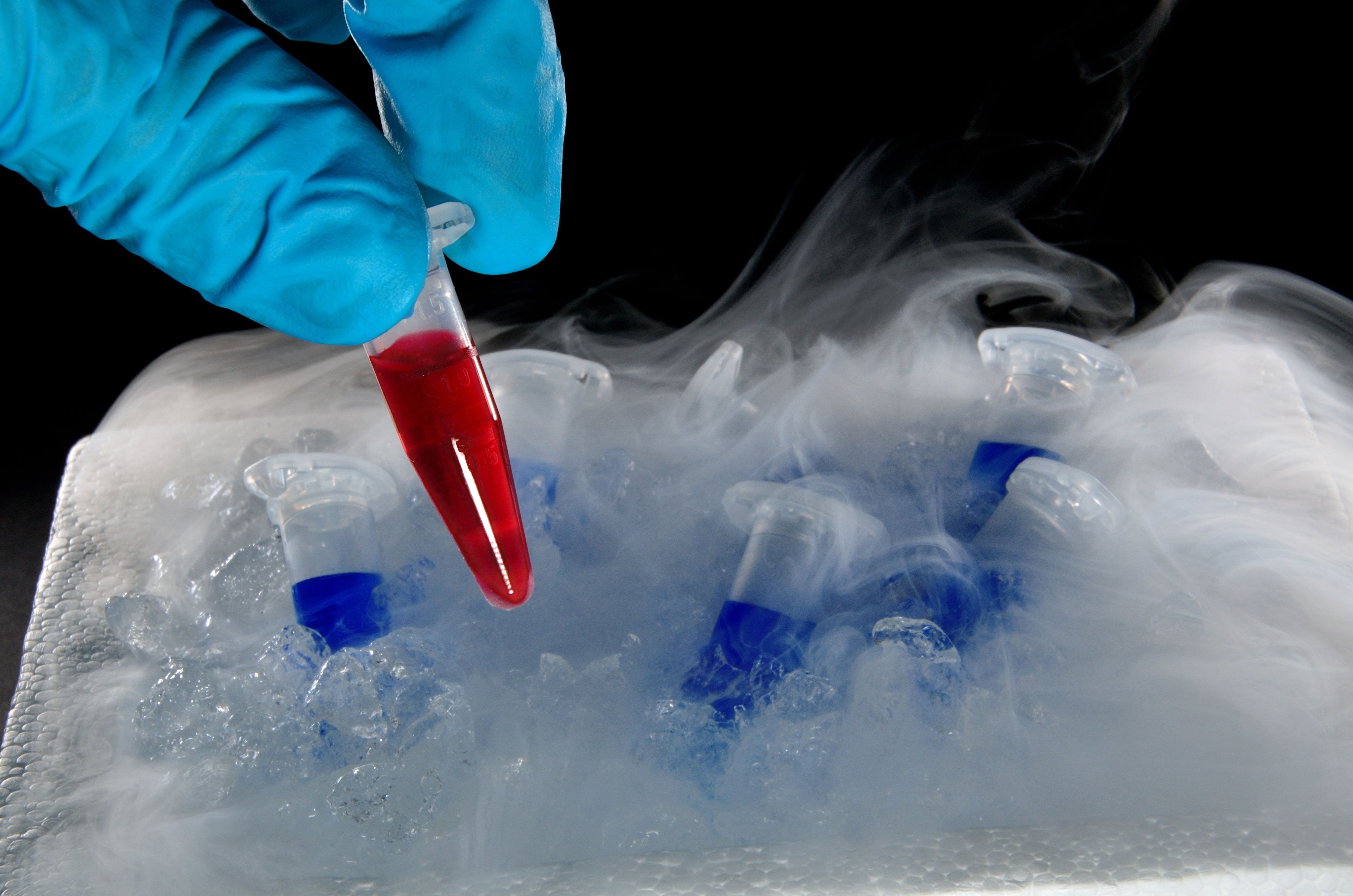 Polymerase chain reaction samples on dry ice 