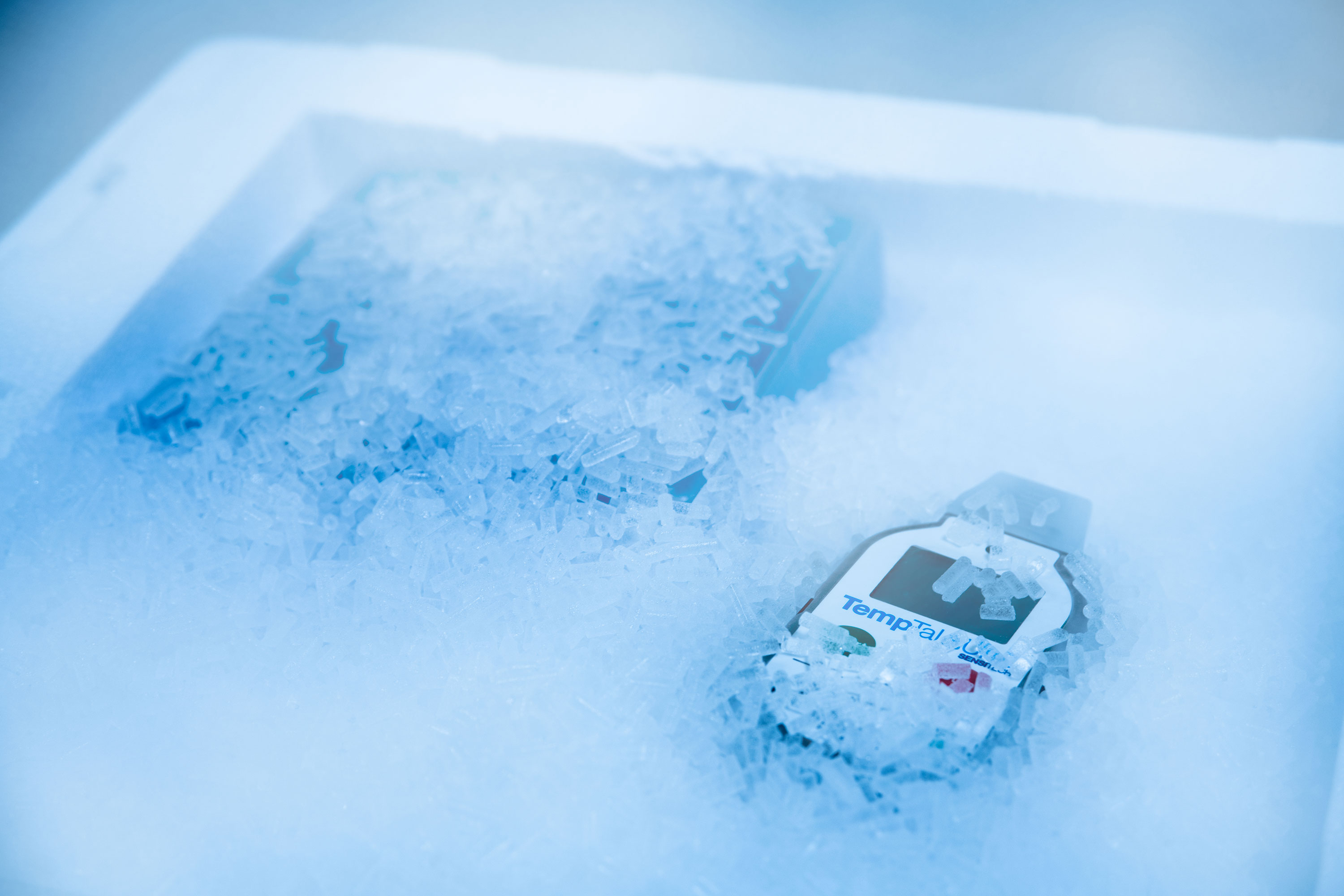 A temperature data logger partially covered in ice inside a cold storage container