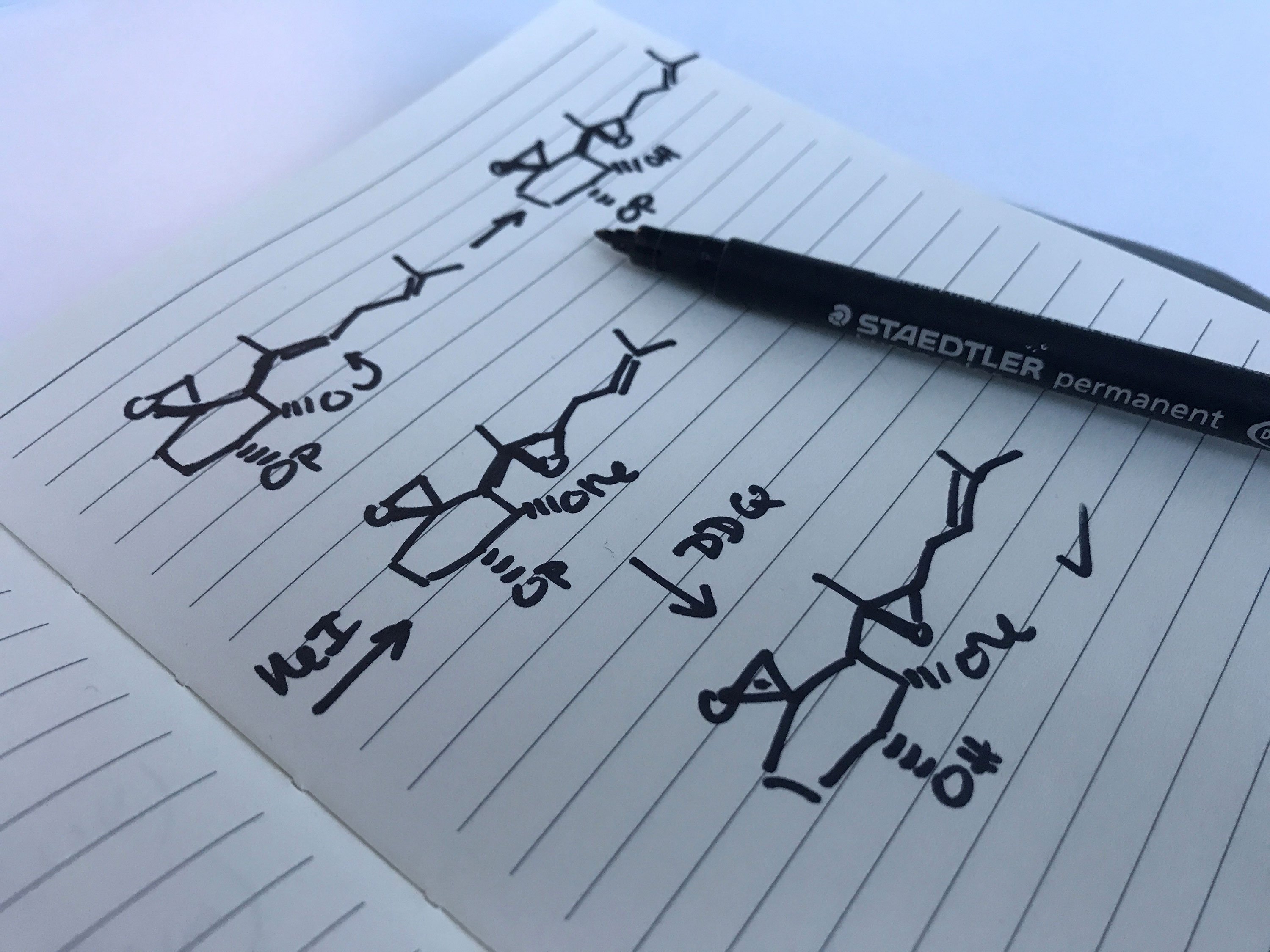 Lab book representing few chemical structures with a pen used to draw them