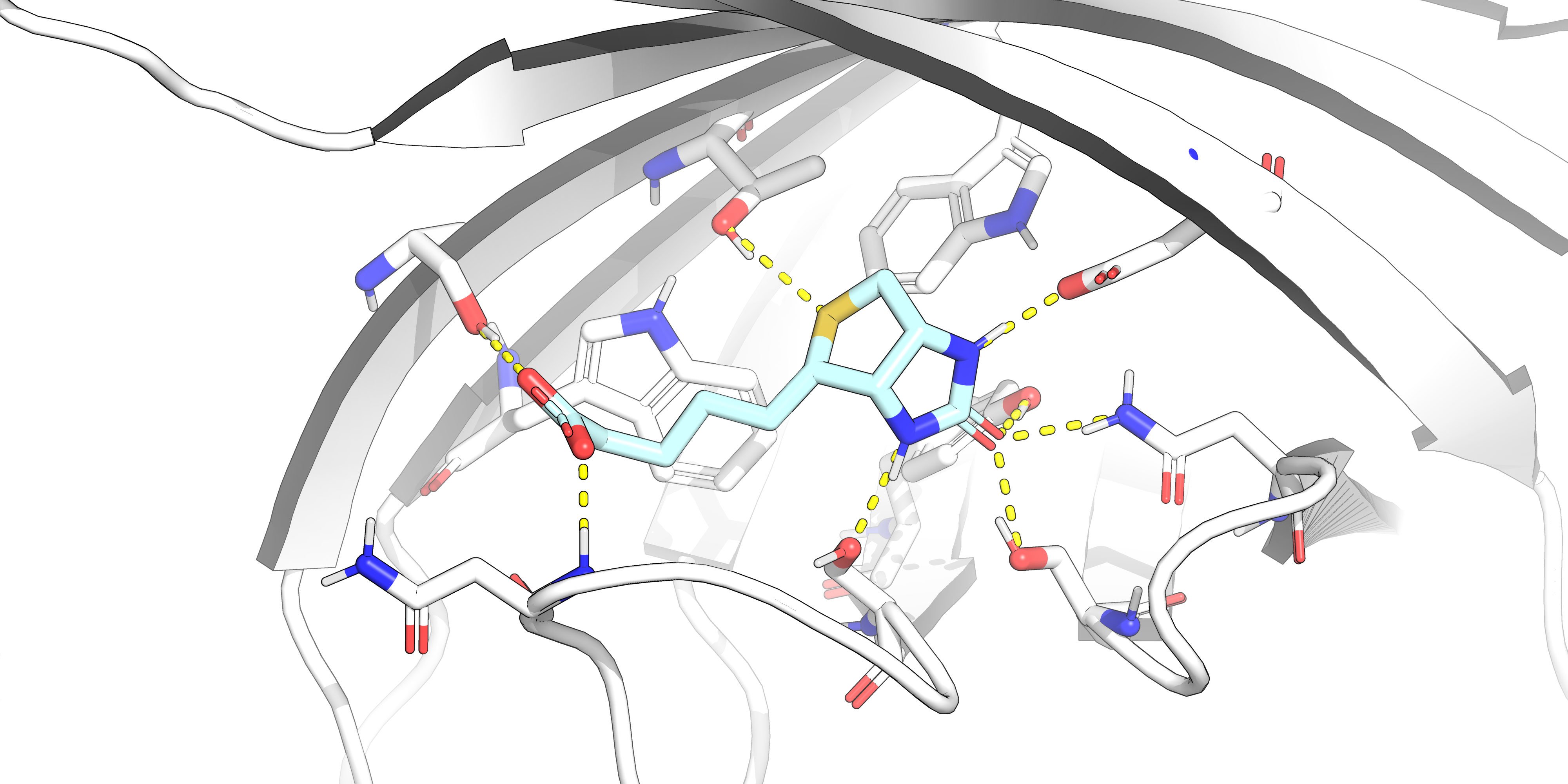 protein-ligand binding site 