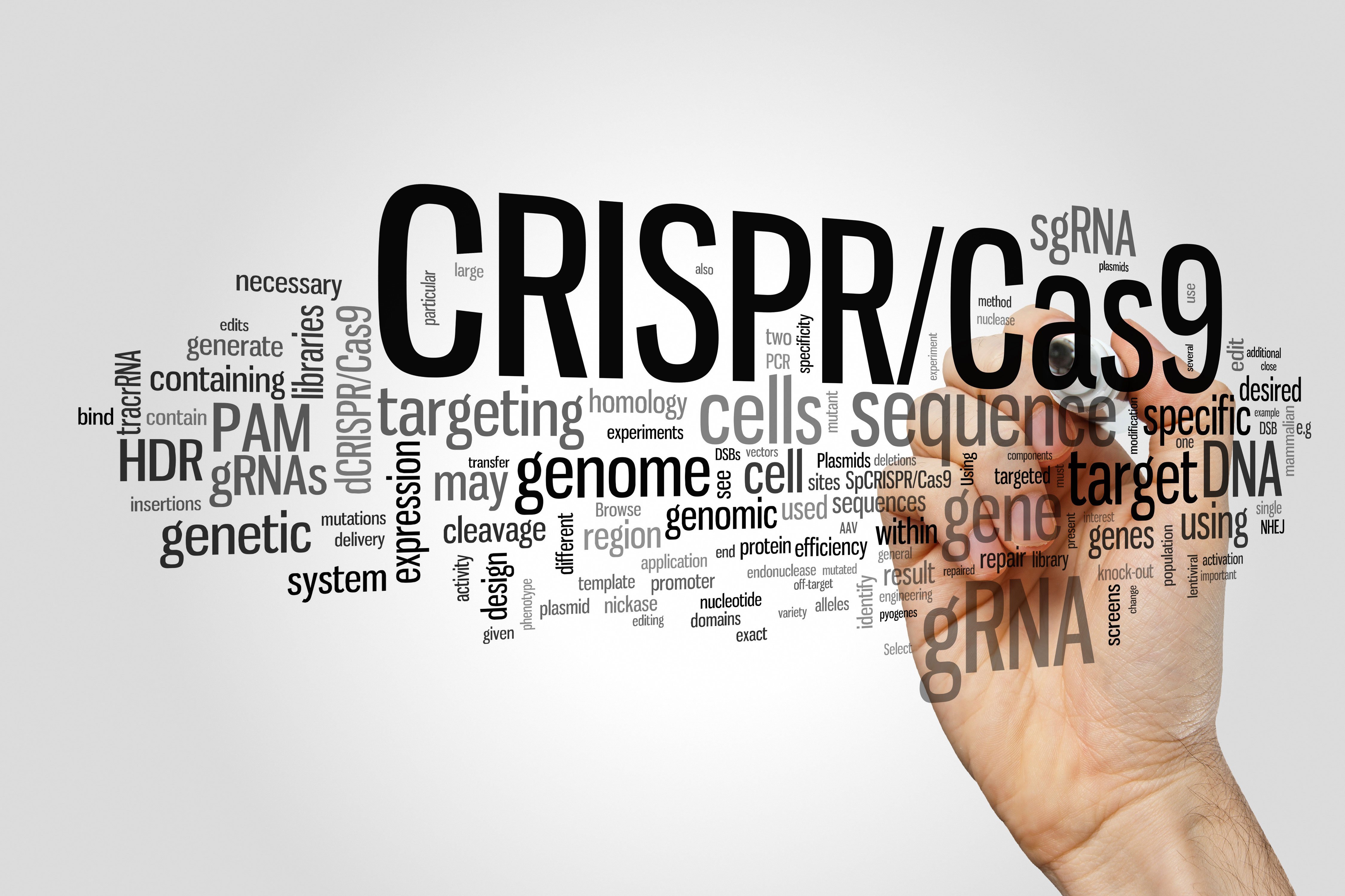 CRISPR/Cas9 system for editing, regulating and targeting genomes