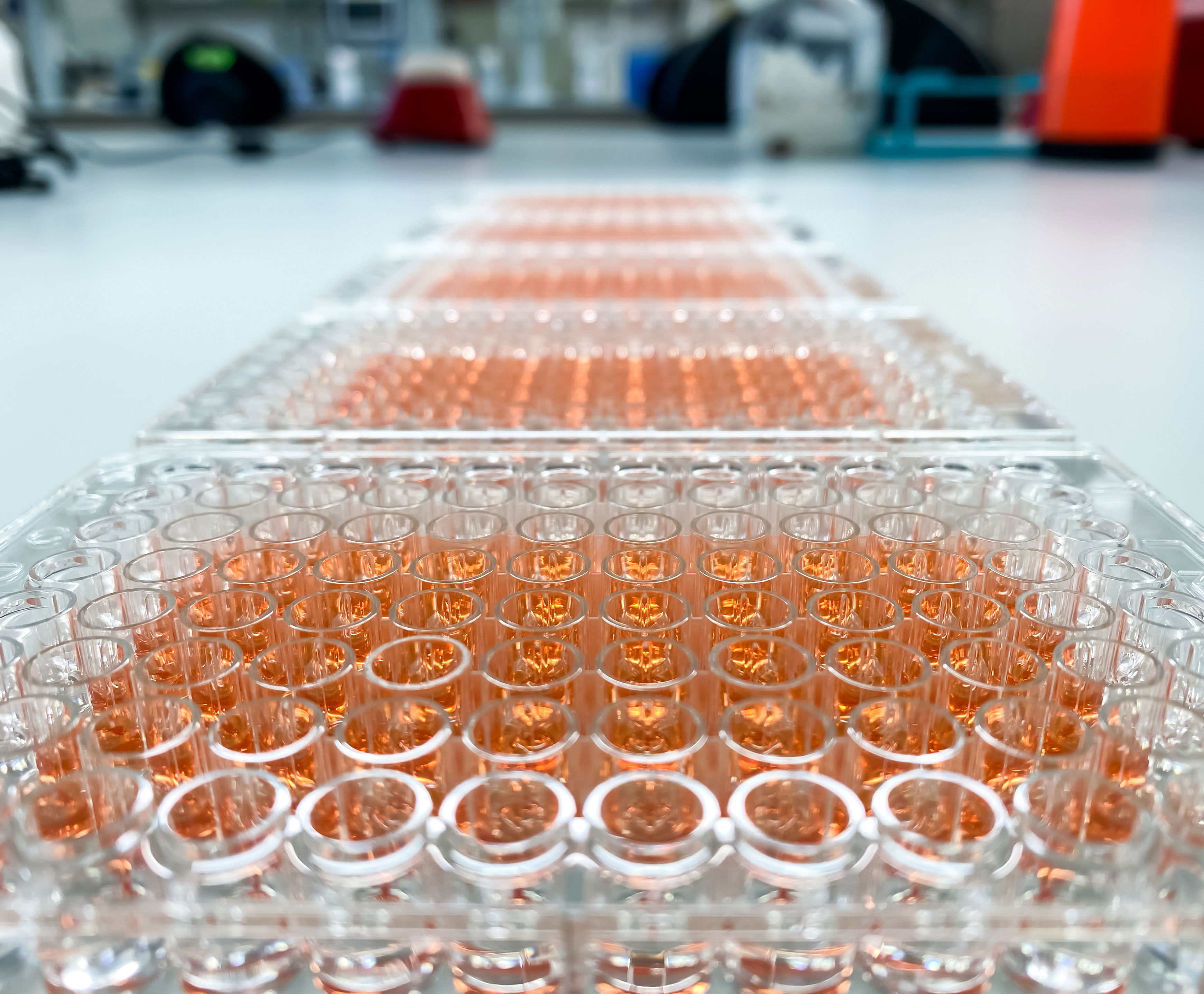 Illustration of cell-based assays used in drug discovery and development, highlighting their role in providing a realistic biological context