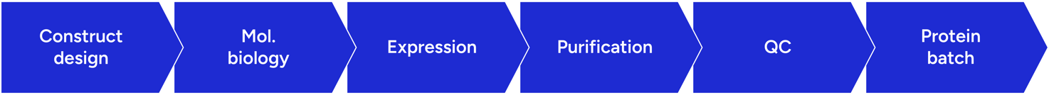 protein production workflow - from construct design to final protein