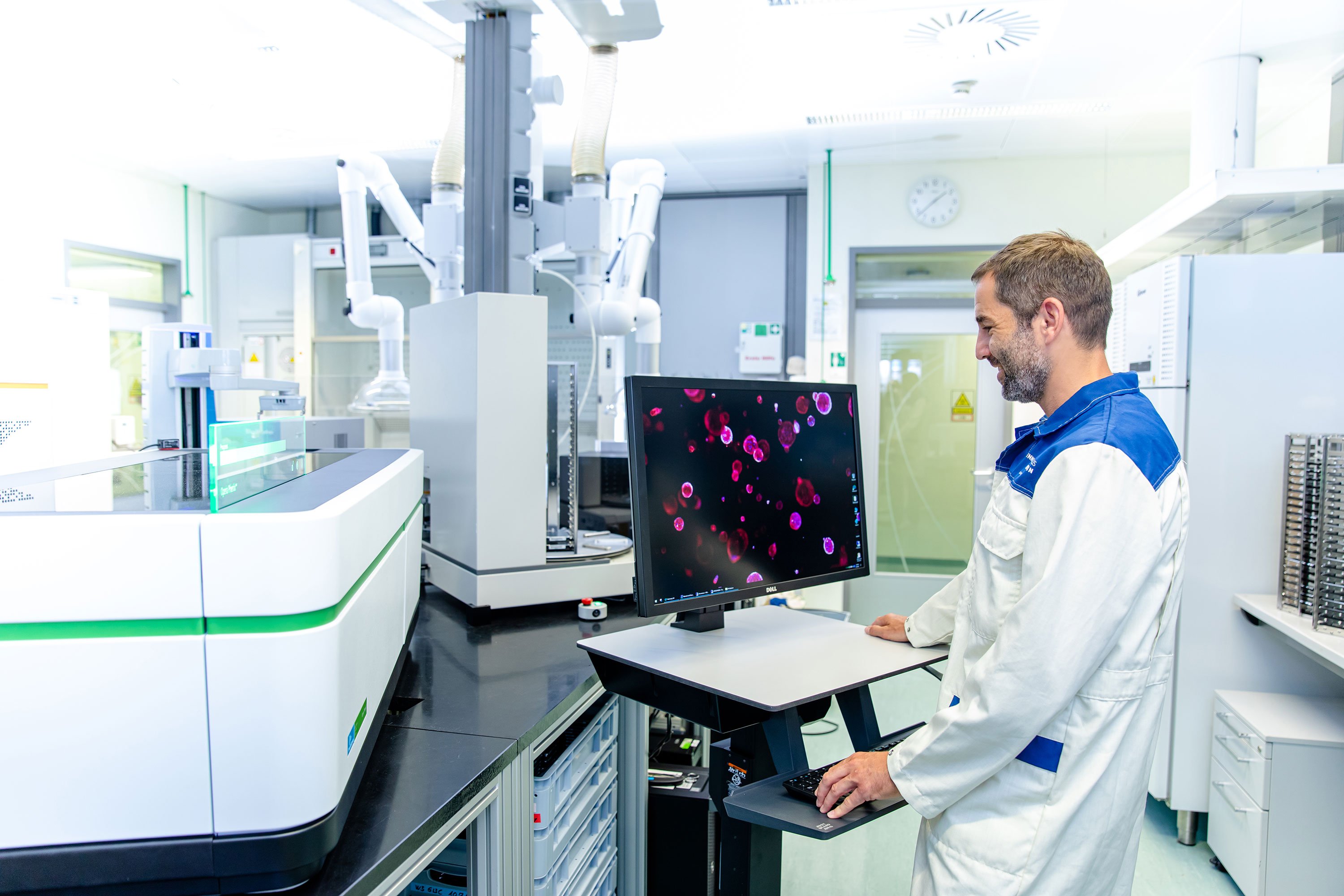 A scientist explores imaging data of a high-content assay