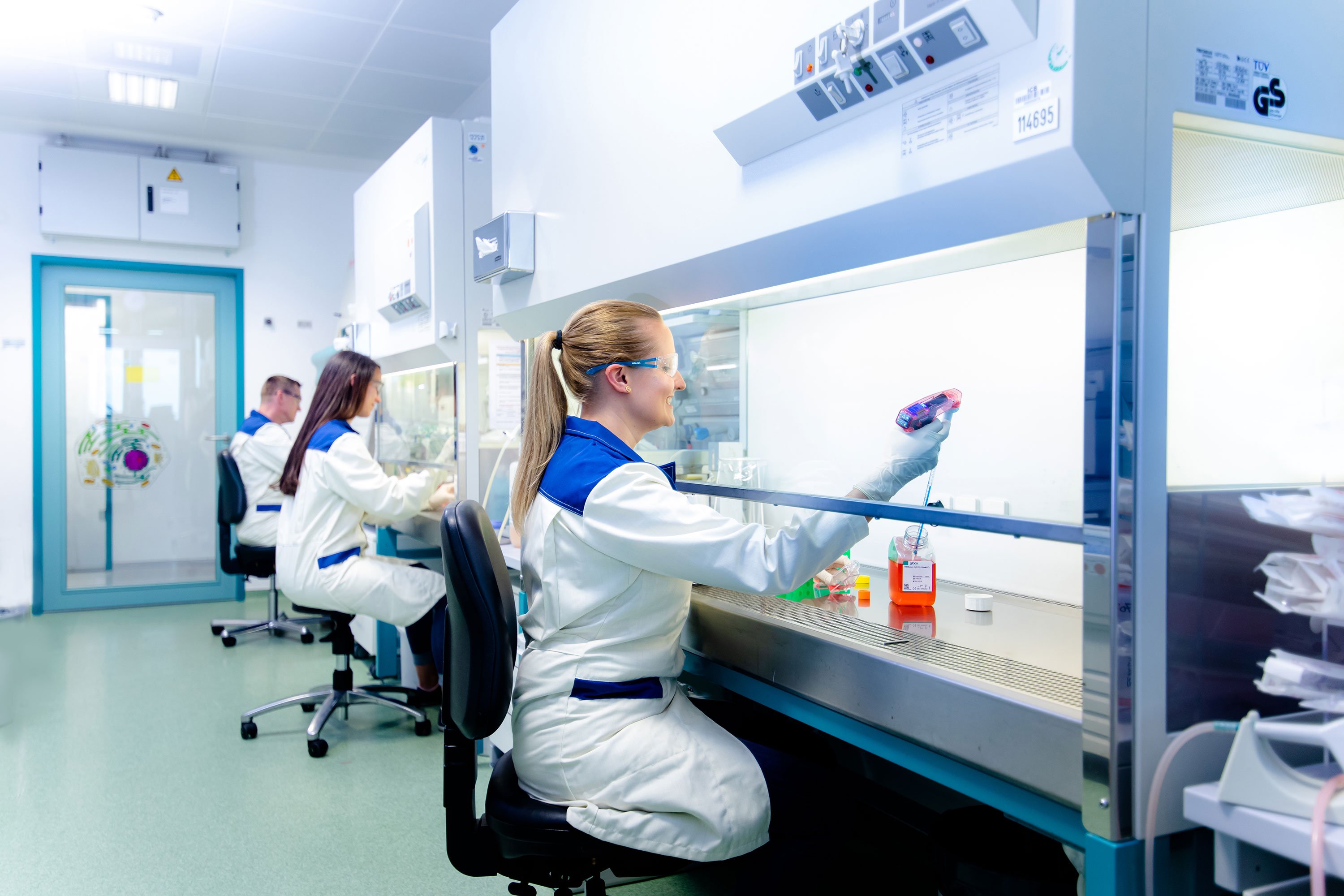 three lab technicians working at the clean bench. 
