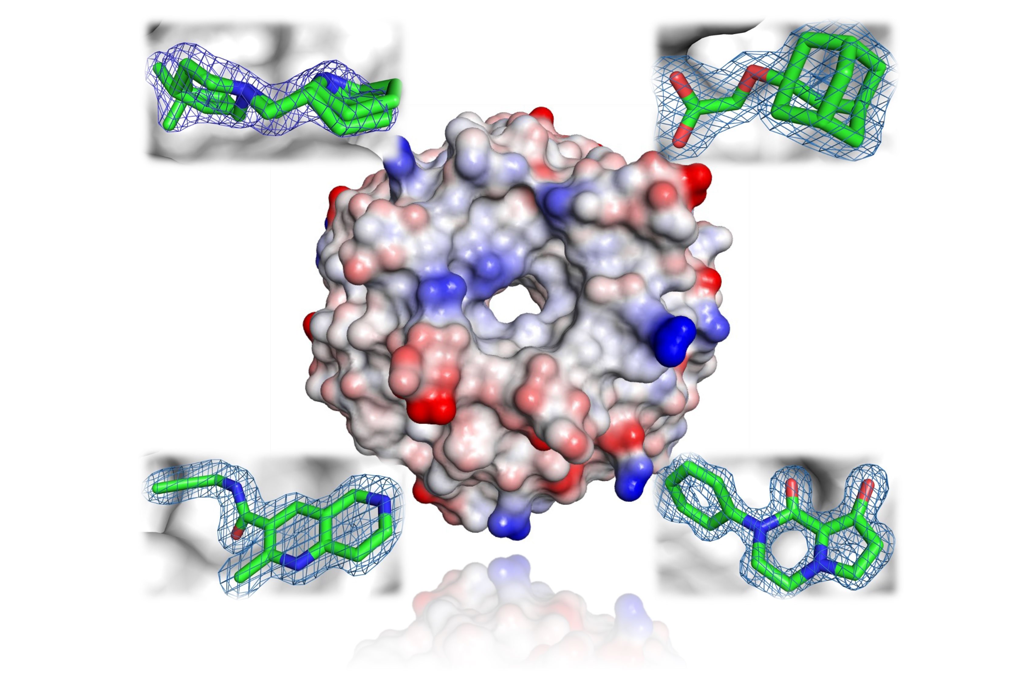 E3 Ligase and 4 examples of fragment hits