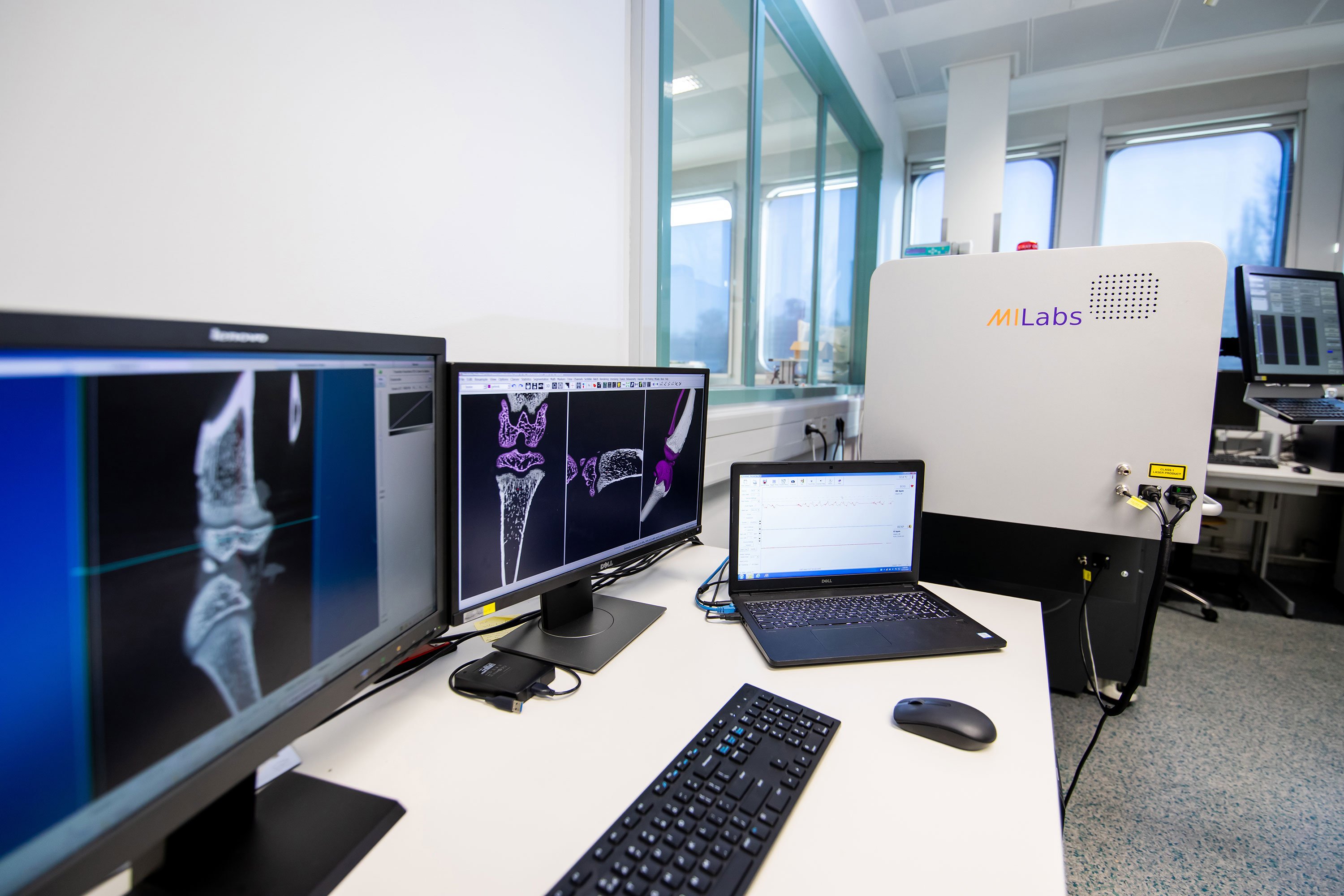 Ex vivo analysis, in vivo study, µCT imaging