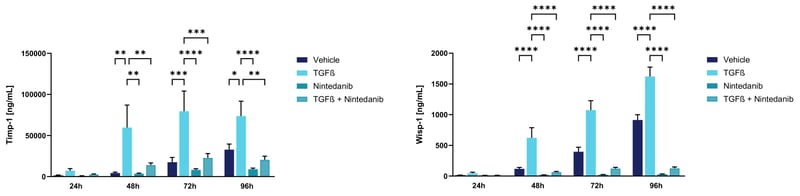 Image of Precision Cut Pulmonary Slices (PCPS) model