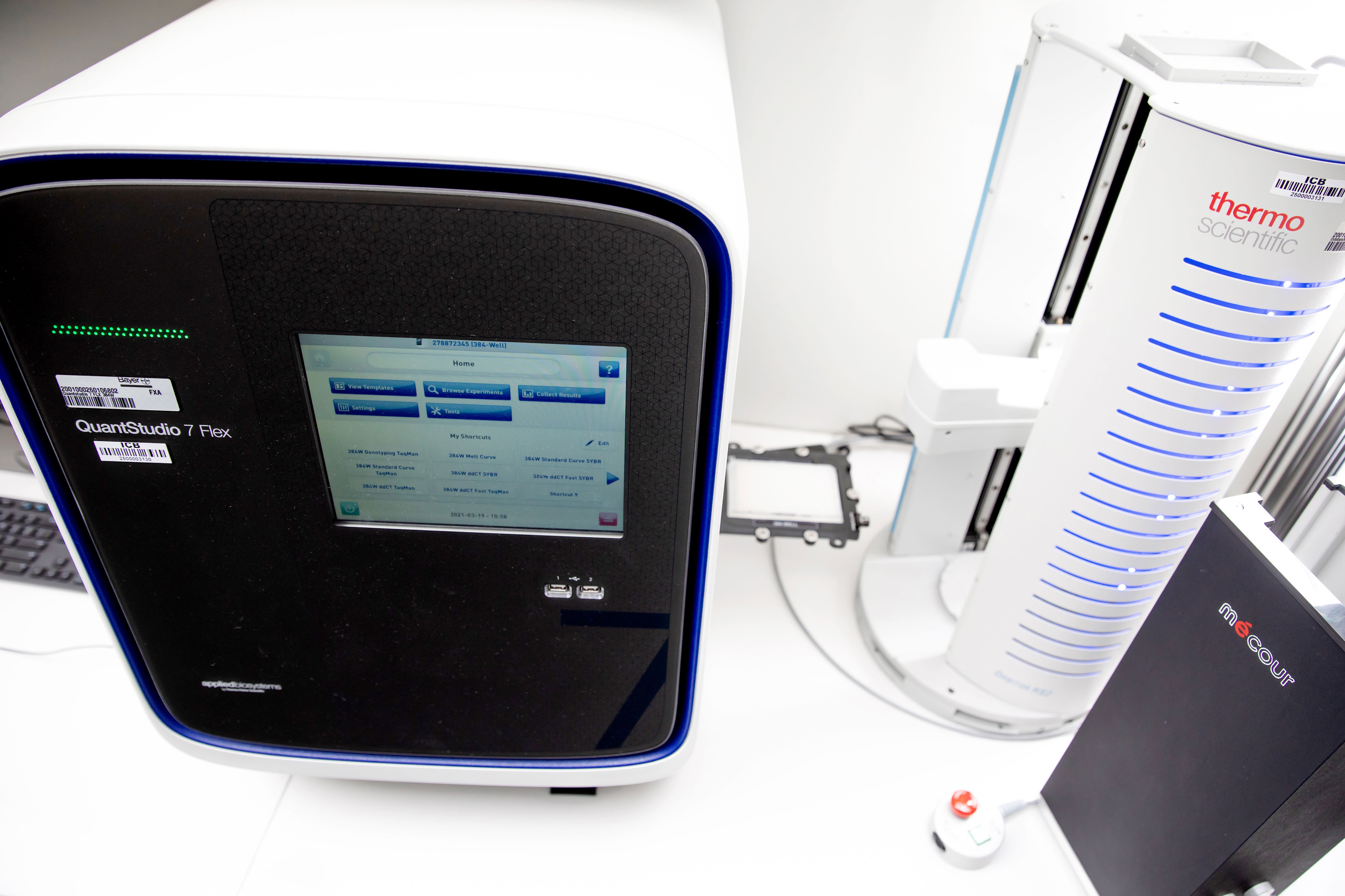 qRT-PCR