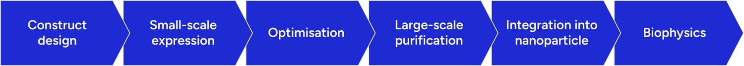 Overview of the protein production workflow