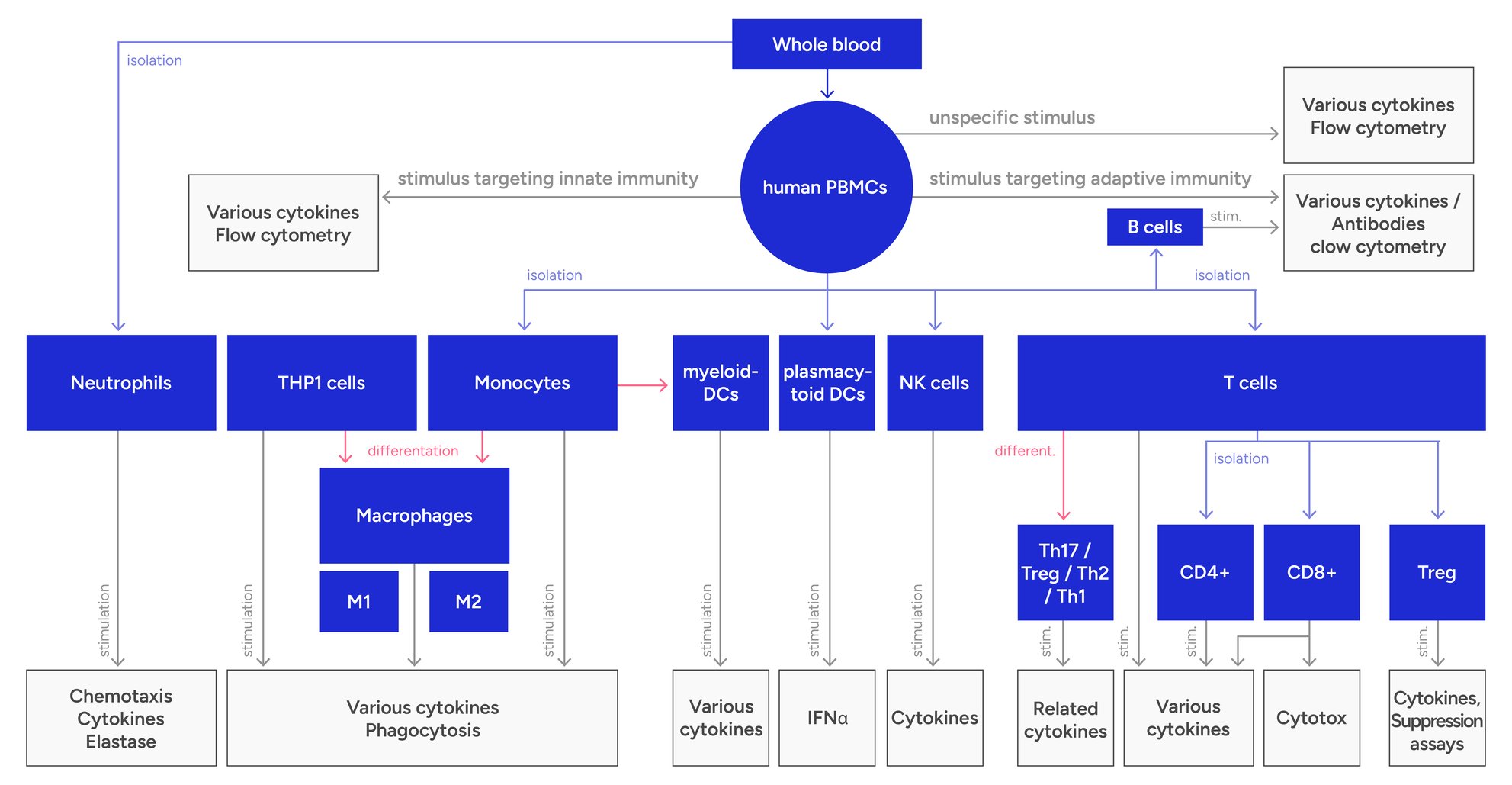 Example of human whole blood- and PBMC-based assays with possible read-outs at NUVISAN 