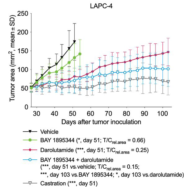 BAY 1895344 plus darolutamide combination treatment improved antitumor efficacy in a human prostate cancer model