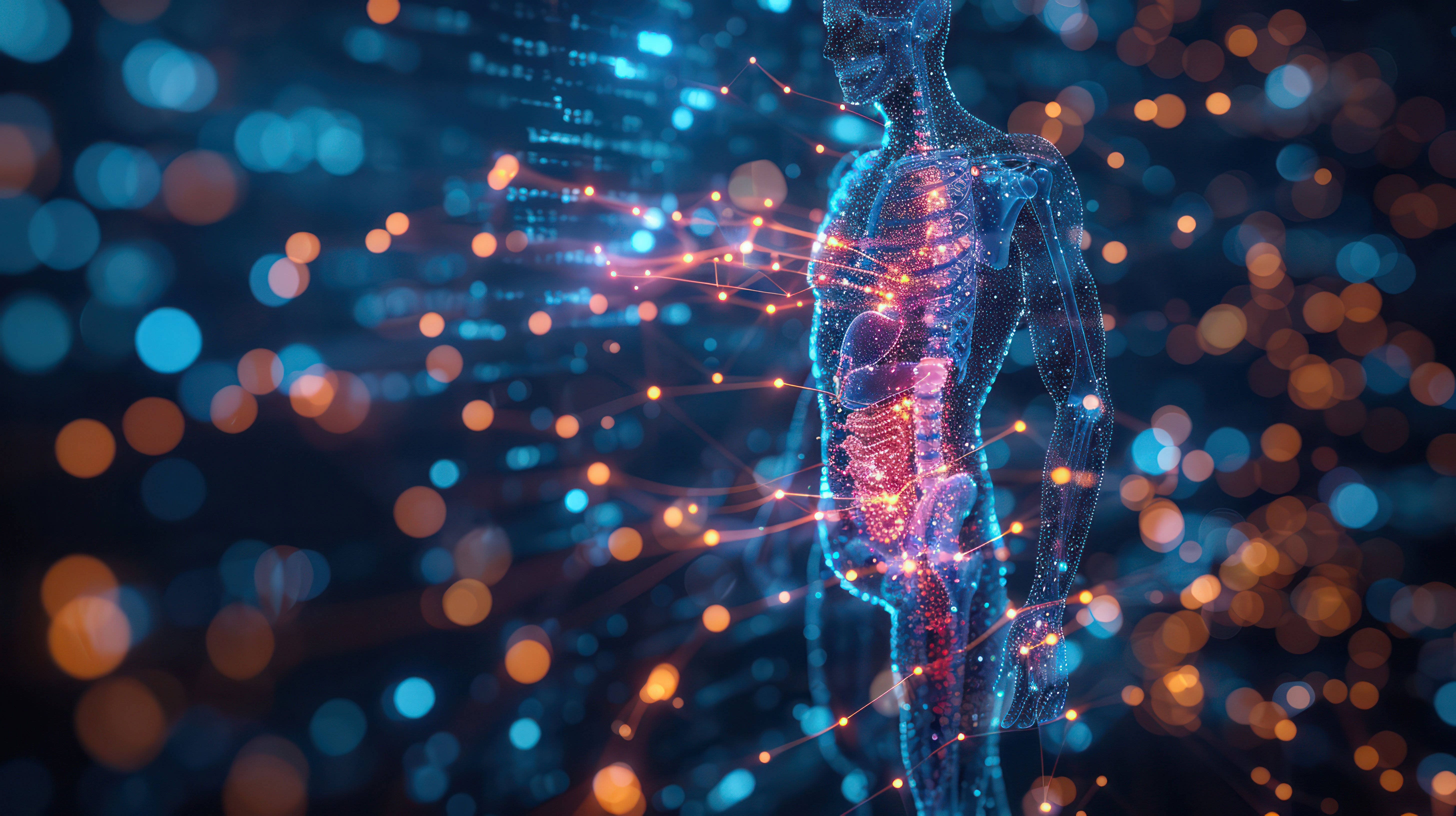 Translucent human body illustration showcasing key organs involved in metabolic processes.