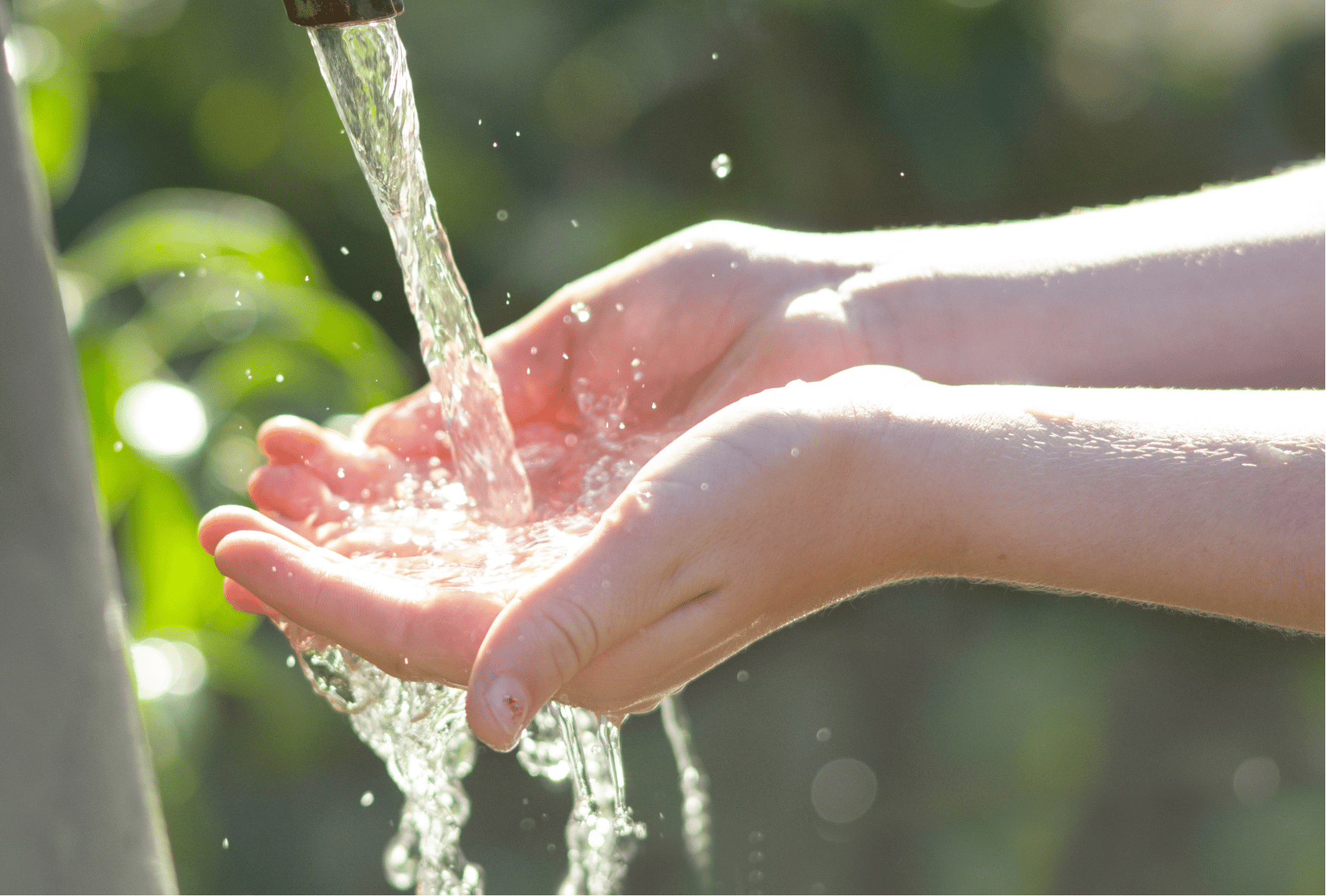 acqua