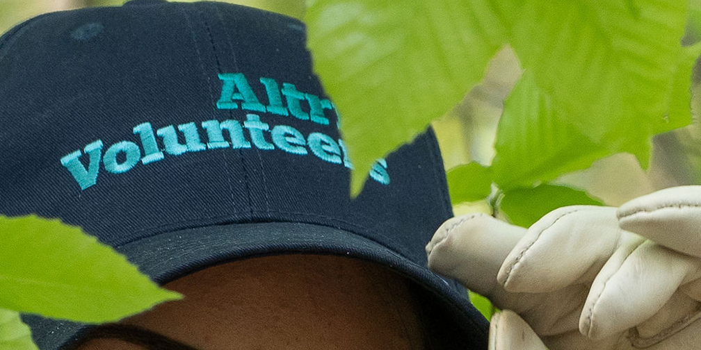 detail of altria volunteers cap and gloved hand in leaves