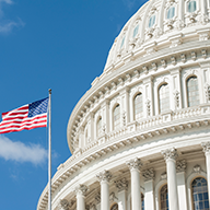 US Flag and Capitol Image