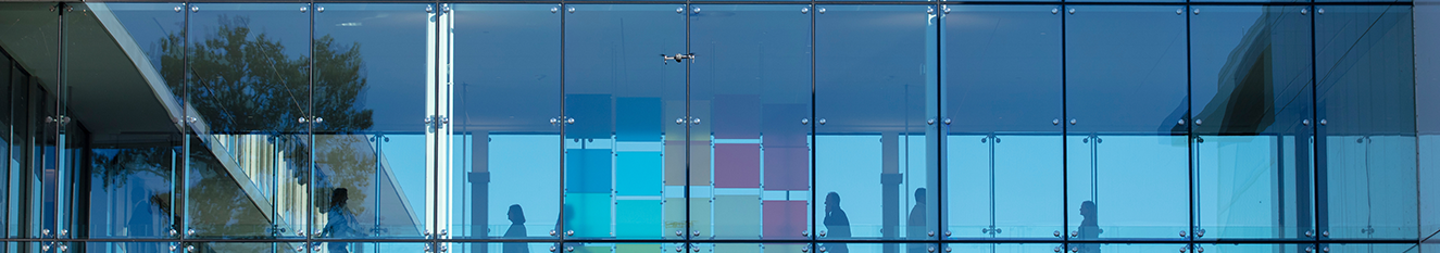 Board of Diversity Banner image