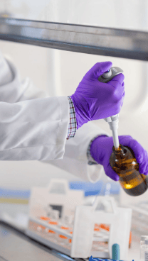 Laboratory technician wearing protective gloves uses a pipette to handle liquid samples for research