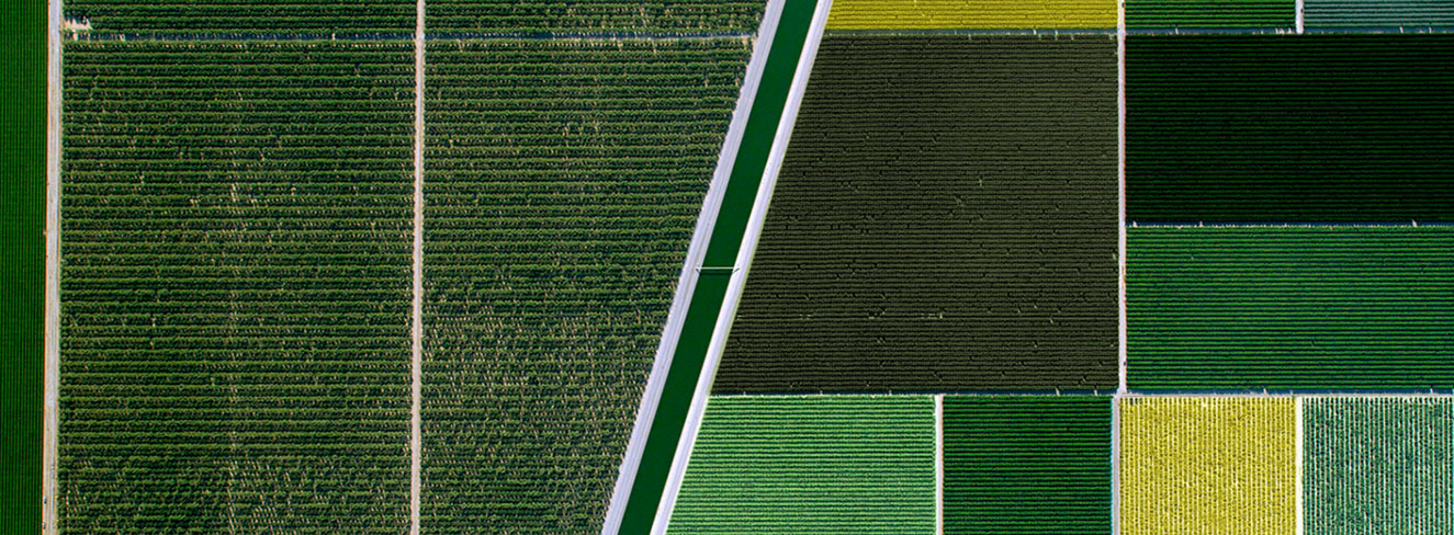 aerial photo of green fields with a road running through the field