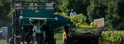 black man wearing a long-sleeved light-colored shirt and dark bill cap, working with farm equipment