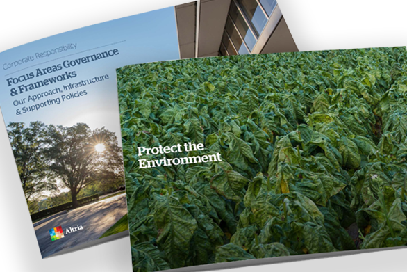 Governance and Environments CR Reports & Snapshots image of the inner cover page of the Protec the Environment section of the Focus Areas Governance & Frameworks report showing a close-up of a green field showing rows of growing tobacco.