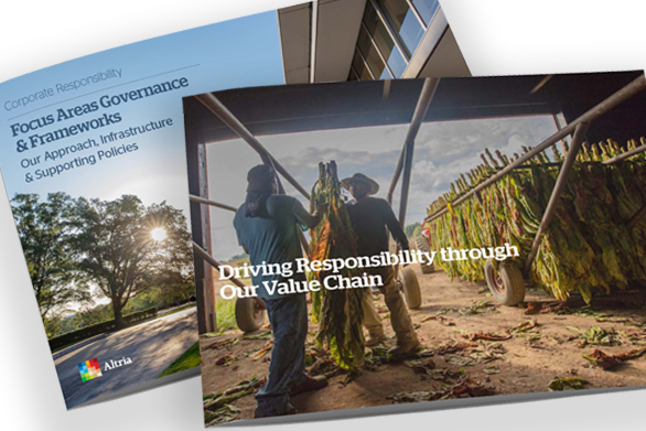 Drive Responsibility Through Our Value Chain section of the Focus Areas Governance & Frameworks report showing a close-up of two farm workers hanging tobacco to dry in a barn with a dirt floor