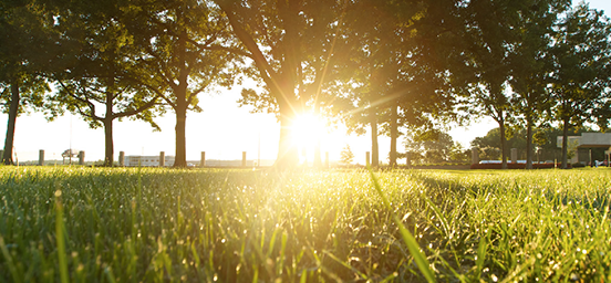 Scenic view of nature with a grassy plain in the foreground and a line of trees behind with the sun shining through on the right and buildings in the distance