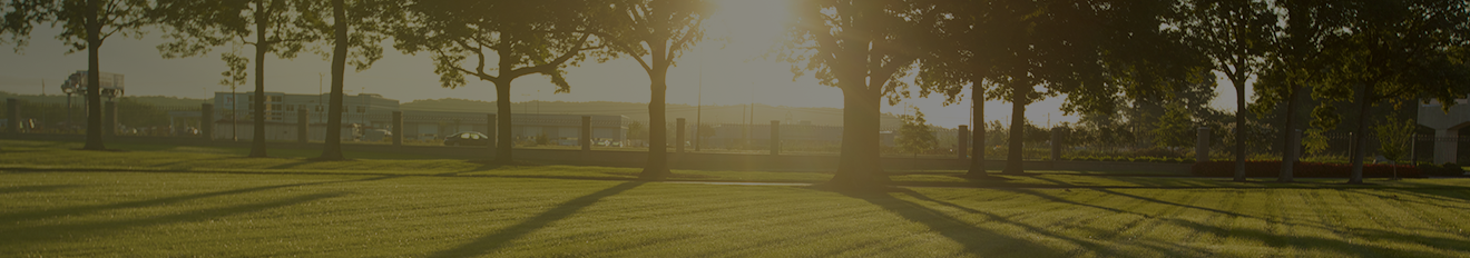 Scenic view of nature with a grassy plain in the foreground and a line of trees behind with the sun shining through on the right and buildings in the distance