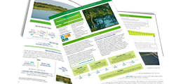 Cover and two open pages of the "Target Reset & Net Zero" report, designed in shades of dark to lime green on white with environment pictures.