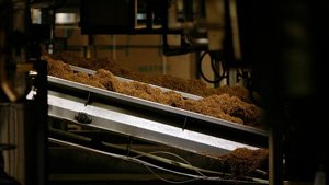 Machinery showing processed tobacco leaf
