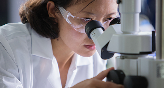 Asian female with shoulder length brown hair in white lab coat and protective glasses looking into a microscope that she is adjusting with her right hand.