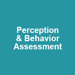 Teal box with white words that read “Perception & Behavior Assessment”