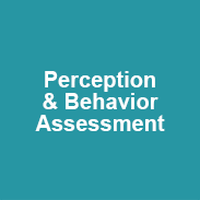 Teal box with white words that read “Perception & Behavior Assessment”