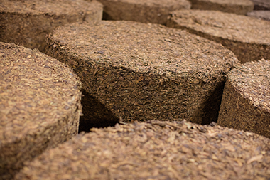 Open barrels of dried tobacco leaves, still in the barrel shape.