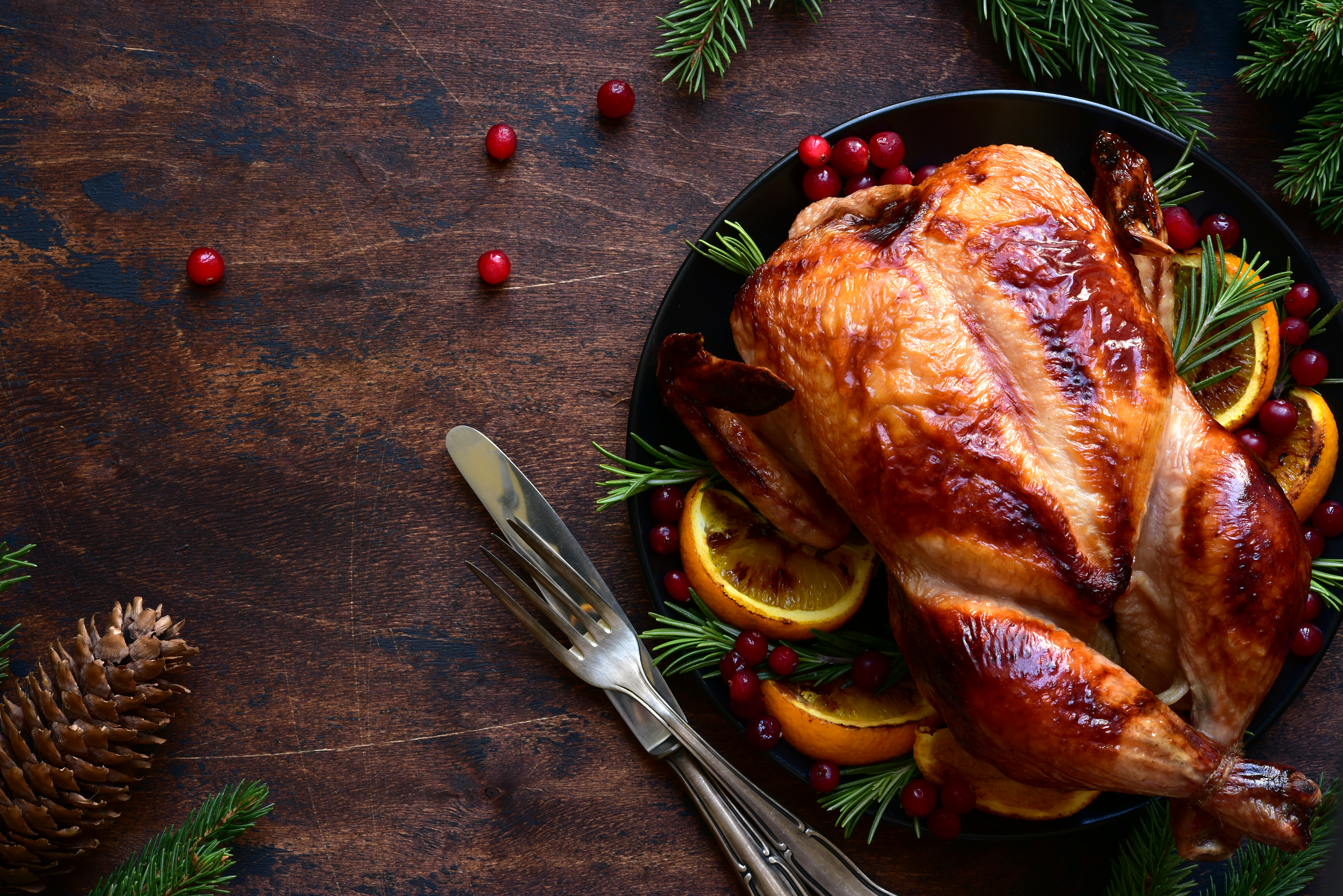 Food Safety for the Holidays