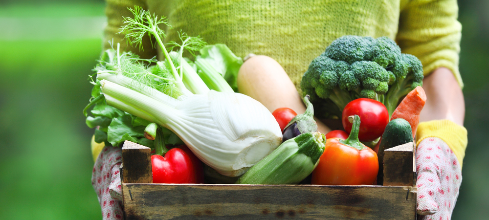 vegetarian eating final