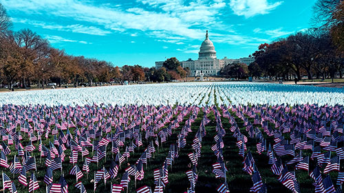 Flags to Commemorate Lung Cancer Awareness on the Hill 2025 (LCS Day)