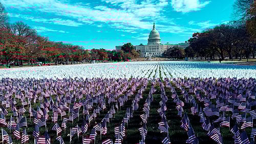 Flags to Commemorate Lung Cancer Awareness on the Hill 2025 (LCS Day)