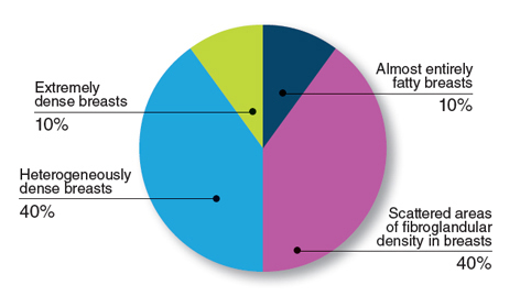 Pie charting depicting distribution of breast density among American women